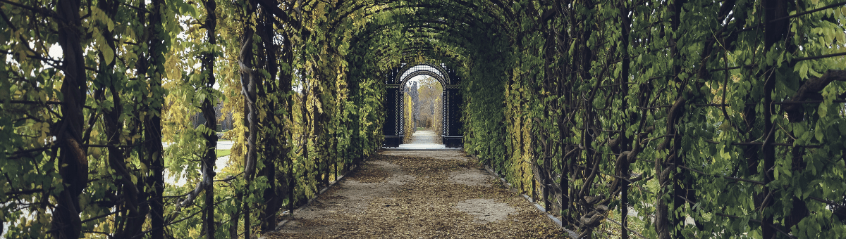 Alone Zones - A quiet escape through a garden with a tunnel in the entrance.